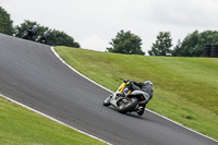 Advanced Group Yellow Bikes